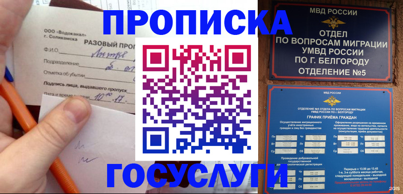 временная регистрация адрес в Майкопе